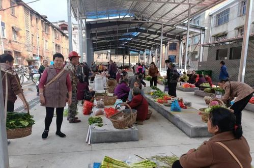 城步苗族自治县中心农副产品临时交易点正式启用,市场经营环境全面优化