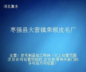 枣强县大营镇荣顺皮毛厂